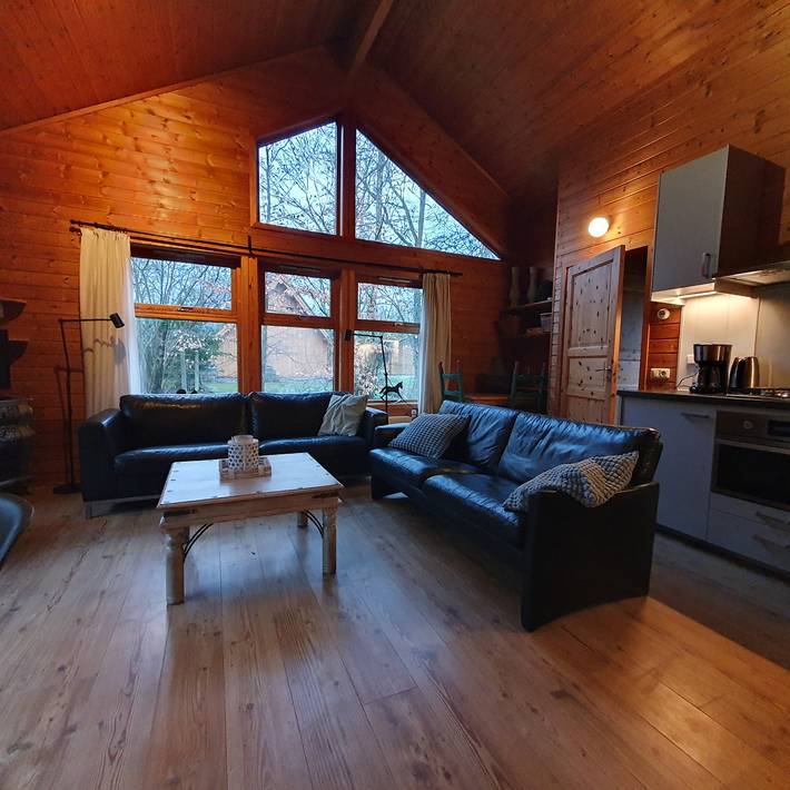 Holzferienhaus für 6 Personen im Nationalpark 't Dwingelderveld in Nationalpark Dwingelderveld