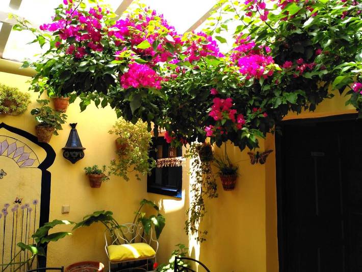 Maison d’hôte pour 2 personnes, avec terrasse, animaux acceptés à Ronda - 2