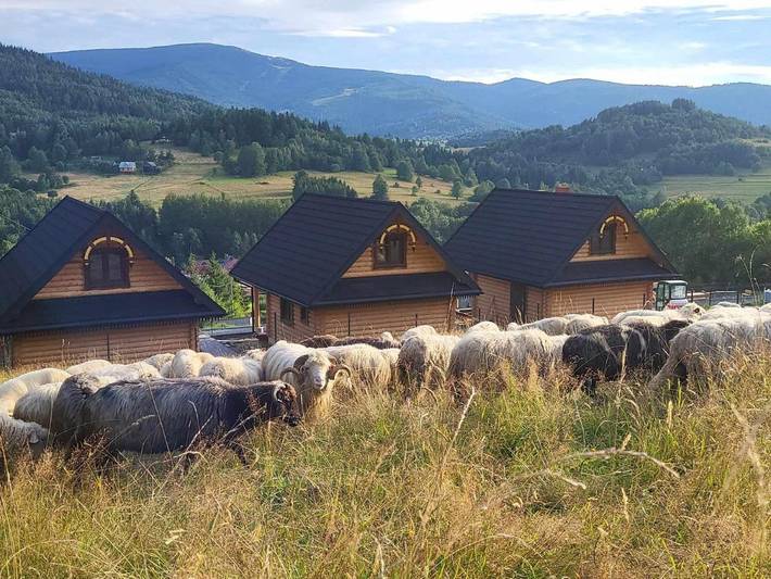 Domek letniskowy dla 7 osób, z sauna i ogród oraz jacuzzi w Śląsk