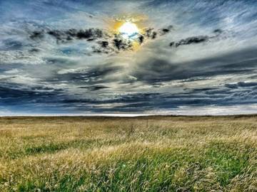 Ferieudlejning til 4 Personer i Yderby Lyng, Sjællands Odde, Billede 4