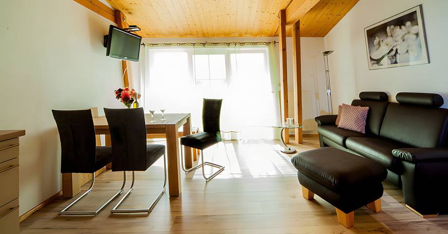 Gehele studio, Appartement '30m², 1 woon-slaapkamer' met balkon en wifi in Radolfzell am Bodensee, Hohenzollern Radweg Region