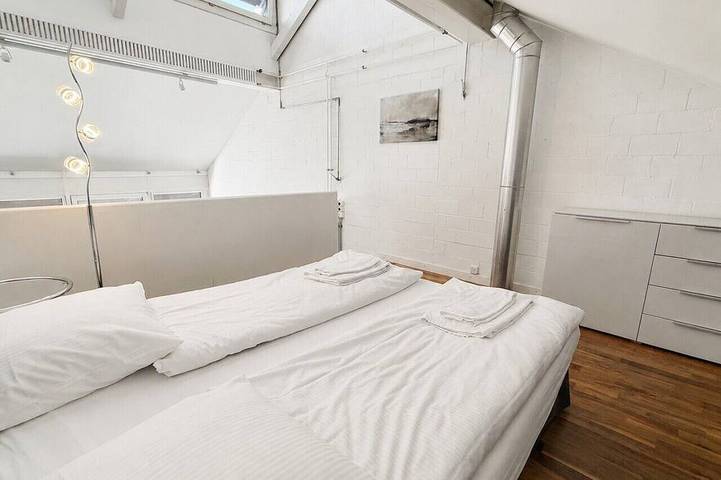 Ganze Wohnung, Exclusive Loft in Seefeld `Mühle` in Zürich Zustellkreis, Zürich