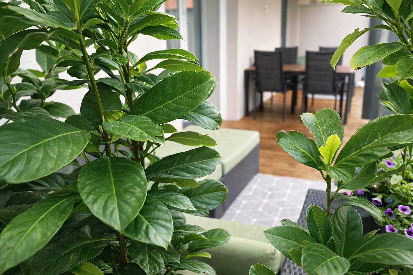 Ganze Ferienwohnung, Design Lodge by Alpenluxus in Kramsach, Kaisergebirge