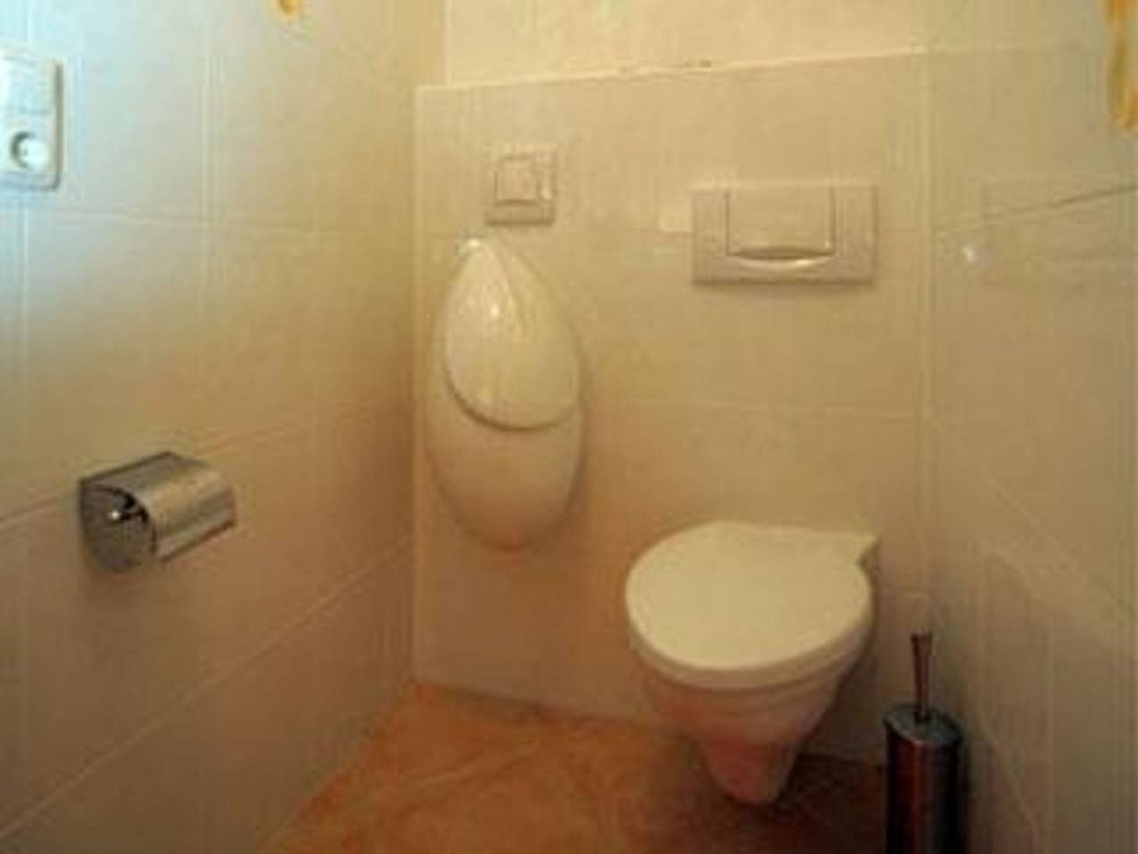 Ganze Ferienwohnung, Ferienstudio Traunsee - Ferienstudio Traunsee in Gmunden, Traunviertel