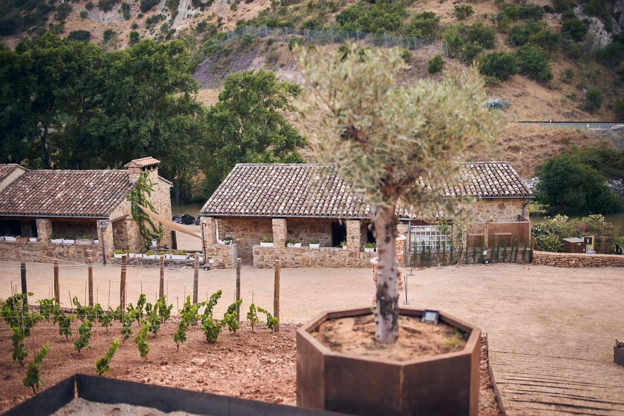 Hotel para 2 personas con jardín in Benaoján, Provincia de Málaga