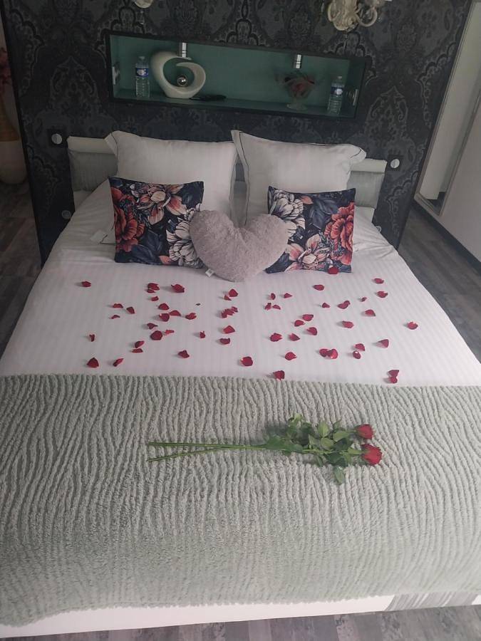 Chambre d’hôte pour 2 personnes, avec jardin ainsi que terrasse et jacuzzi dans le Gers - 4