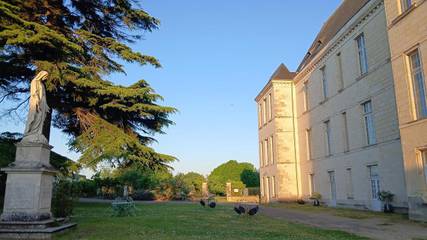 Gîte pour 2 personnes, avec terrasse ainsi que vue et jardin à Bourgueil