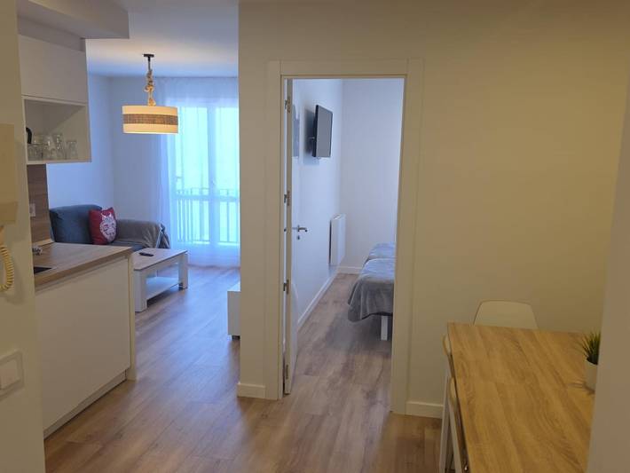 Ganze Wohnung, Renoviertes Bergstudio - 4 Pers. in Candanchú, Aisa