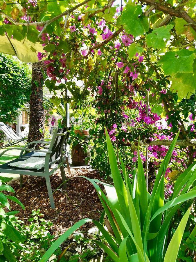 Chambre d’hôte pour 2 personnes, avec terrasse et jardin à Nice - 2