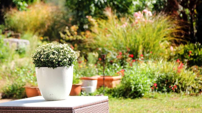 Ferienwohnung für 2 Personen, mit Garten im Kraichgau - 3
