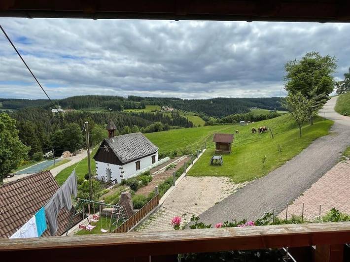 Gîte pour 8 personnes, avec vue et jardin, animaux acceptés à Schramberg - 3