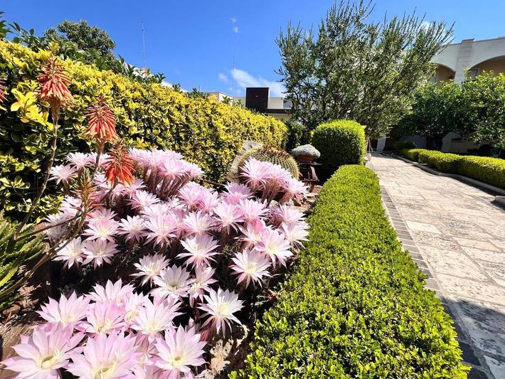 Chambre d’hôte pour 4 personnes, avec balcon et vue à Bari - 2