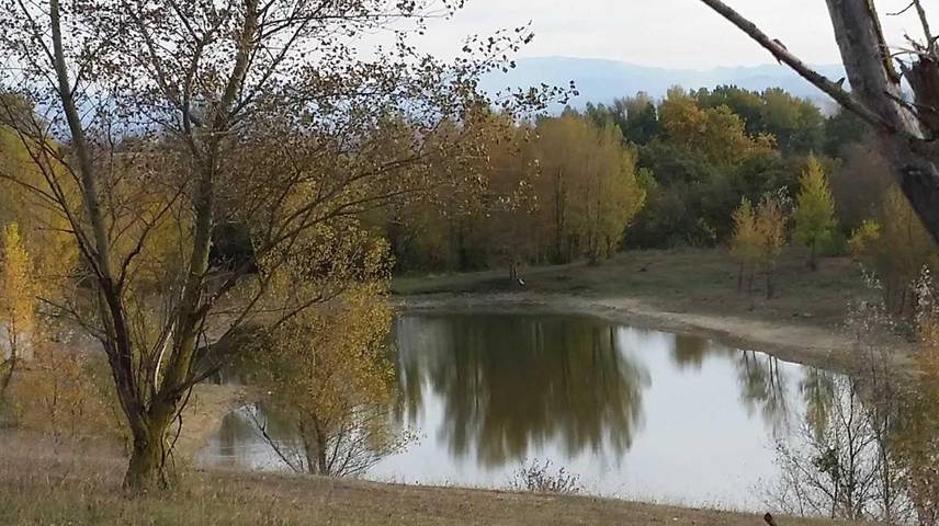 Camping pour 5 personnes, avec Piscine