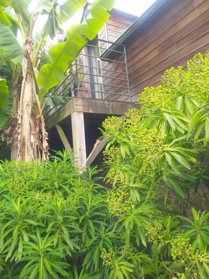 Location de vacances pour 5 personnes, avec vue et jardin à Locquénolé - 4