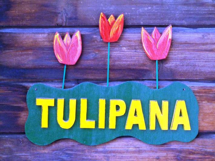 Ganze Wohnung, Tulipana Berther in Sedrun, Tujetsch