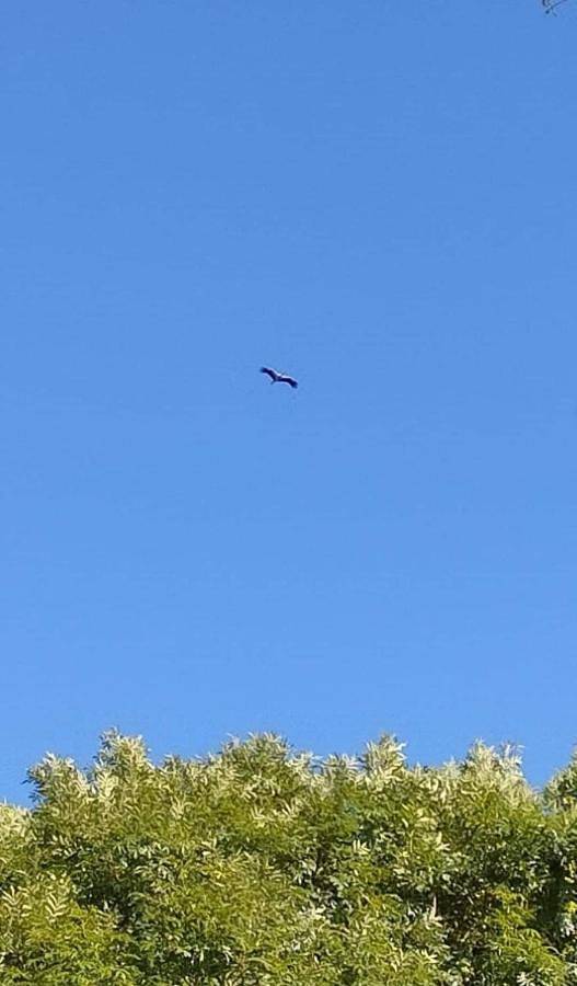 Gîte pour 4 personnes, avec jardin et terrasse à Berville-sur-Mer - 2