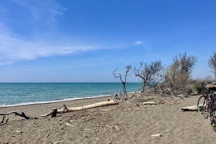 Ferienhaus mit Meerblick für 4 Personen, mit Meerblick und Garten, mit Haustier in der Toskana - 2