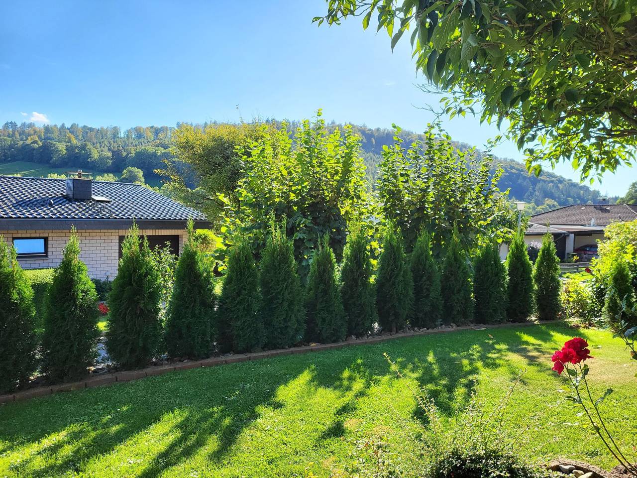 Ganze Wohnung, Apartment mit Hund in Bodenwerder, Landkreis Holzminden