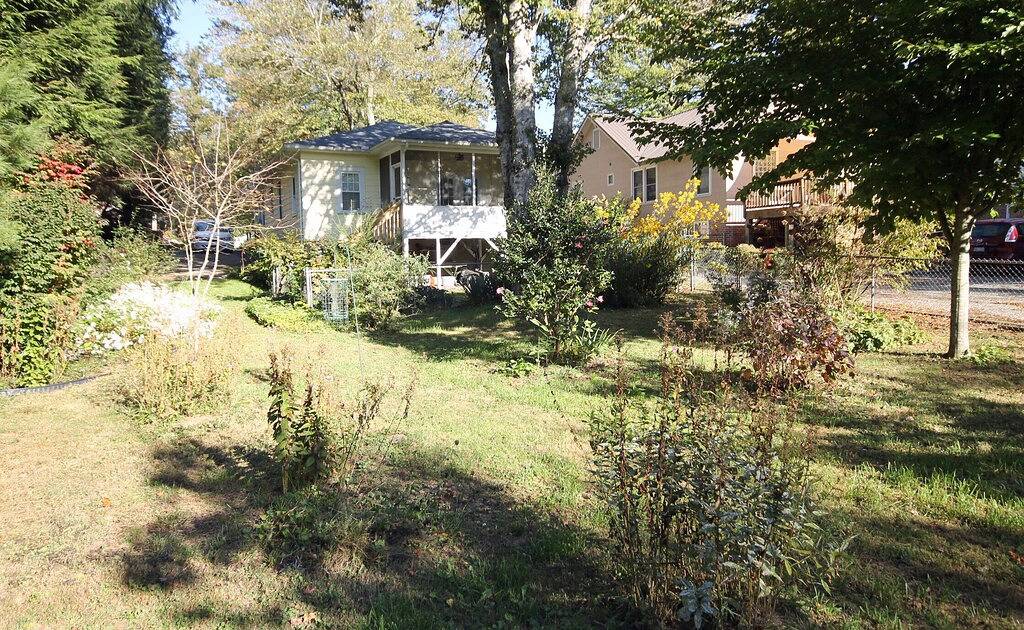 Gehen Sie in die Innenstadt Brevard! Hundefreundlich, Wifi in Brevard, Transylvania County