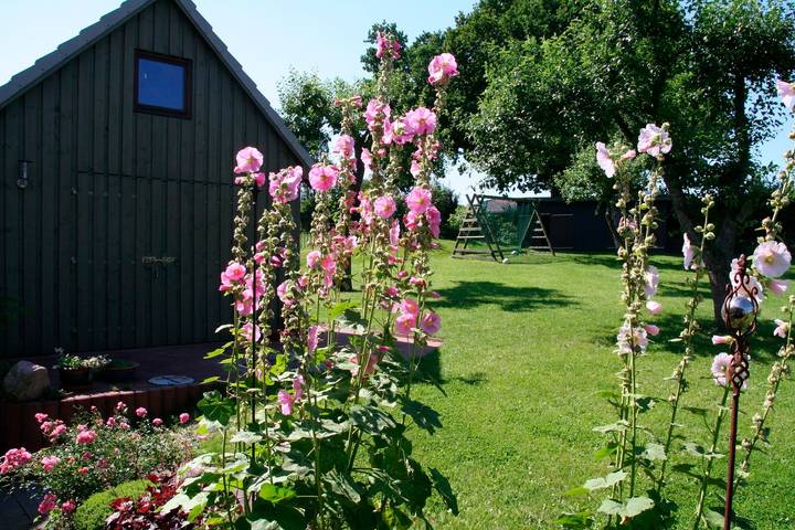 Ferienwohnung für 5 Personen, mit Seeblick und Garten sowie Terrasse in Bünsdorf - 2