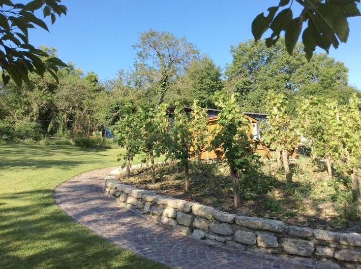 BnB für 2 Personen, mit Garten und Terrasse in Bernkastel-Kues - 4