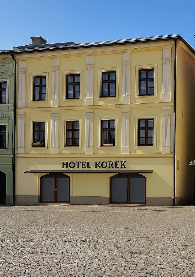 Hotel dla 2 osób, zwierzęta dozwolone w Frydek-Mistek