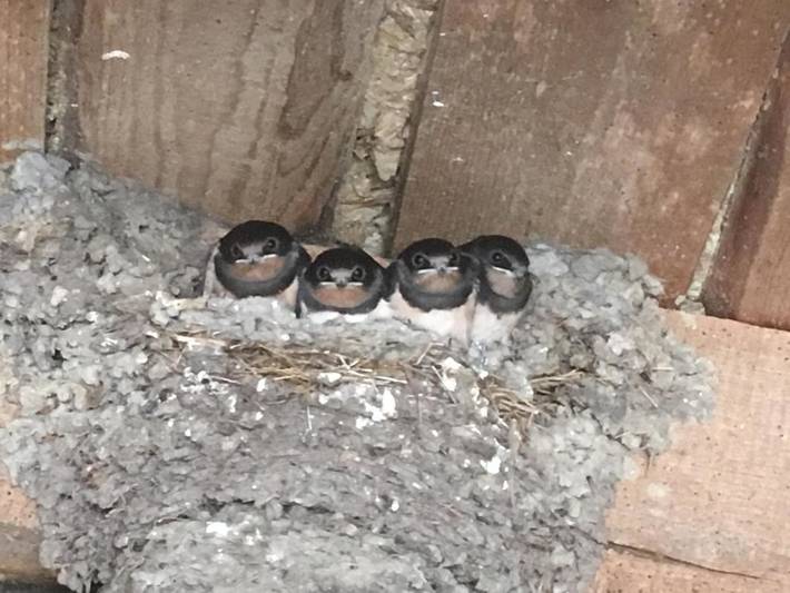 Location de vacances pour 2 personnes, avec vue et jardin à Cour-Cheverny - 4