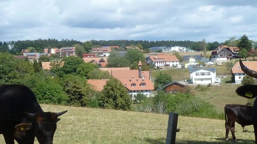 Ferienhaus für 6 Personen, mit Balkon in Görwihl - 2