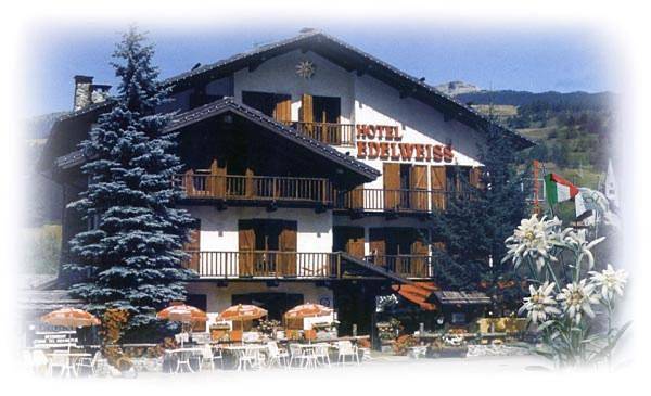 Hotel Edelweiss & Spa in Cesana Torinese, Via Lattea