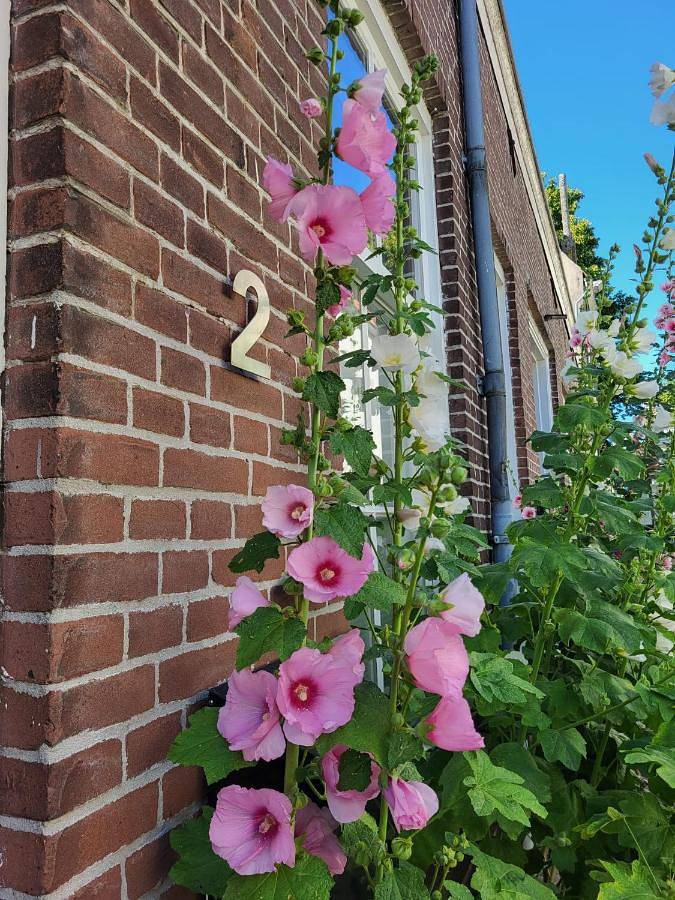 Gîte pour 4 personnes, avec vue dans Zierikzee - 2
