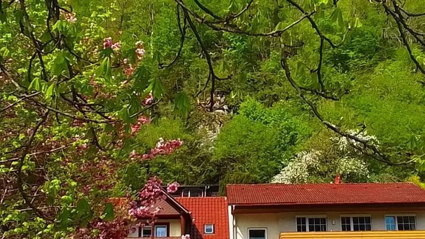 Ferienwohnung für 8 Personen, mit Balkon in Gößweinstein - 4