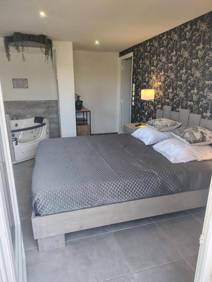Chambre d’hôte pour 3 personnes, avec jacuzzi ainsi que terrasse et jardin dans la Loire - 4