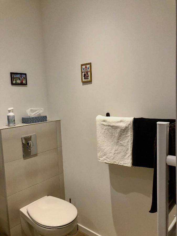 Location de vacances pour 4 personnes, avec terrasse et jacuzzi à Rosheim - 3