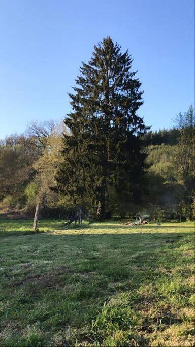 Location de vacances pour 10 personnes, avec jardin et vue dans Redu - 2