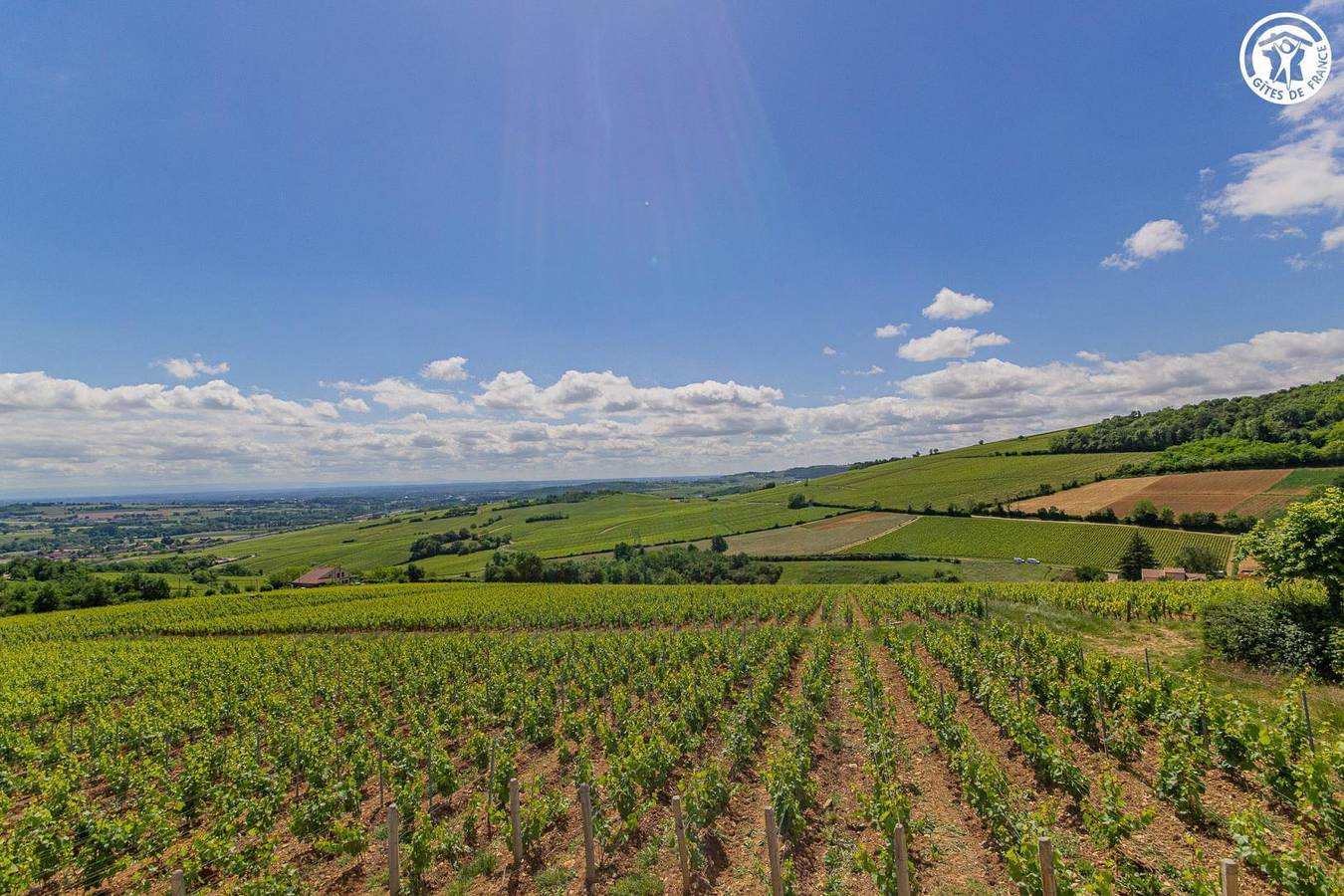 Le Tinailler in Prissé, Région de Mâcon