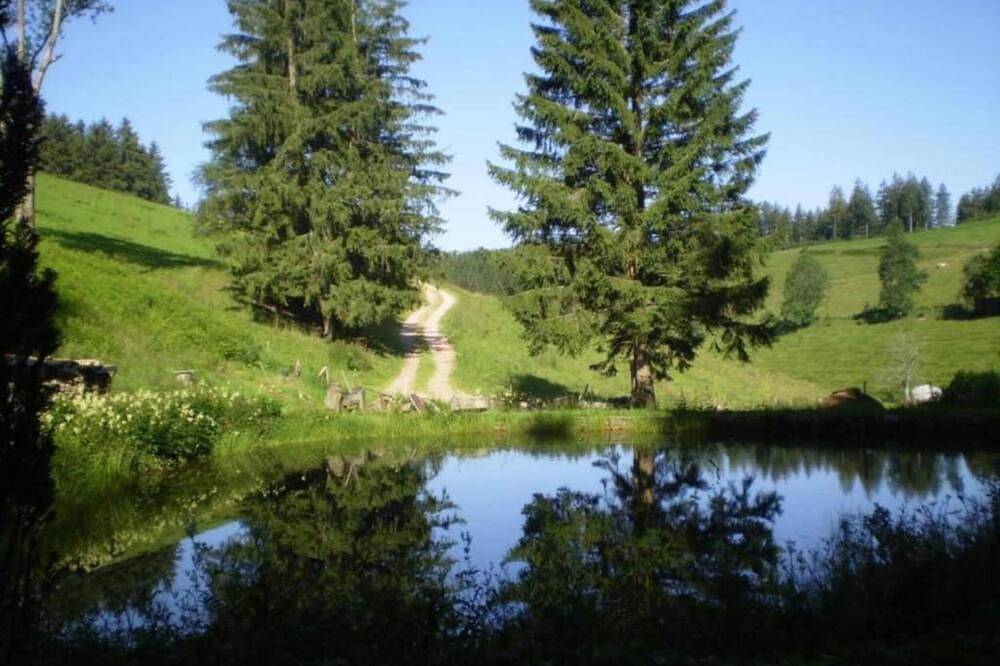 Ganze Wohnung, Wohnung Herrischried nahe Ski-Paradies in Suedlicher Schwarzwald, Herrischried