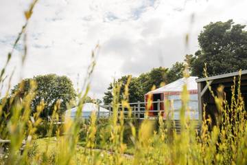 Glamping for 6 People in Cornwall, South West England, Photo 3