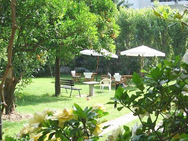 Hôtel pour 3 personnes, avec terrasse ainsi que jardin et vue dans Agios Ioannis (Zagora–Mouresi) - 4