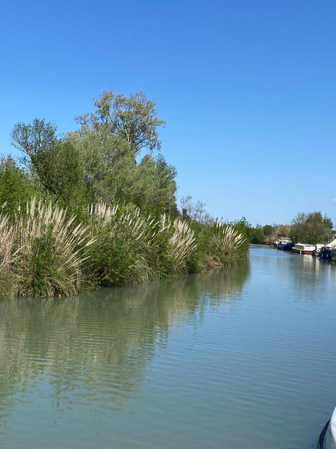 Bateau pour 6 personnes, avec vue ainsi que terrasse et jardin dans l' Hérault - 2