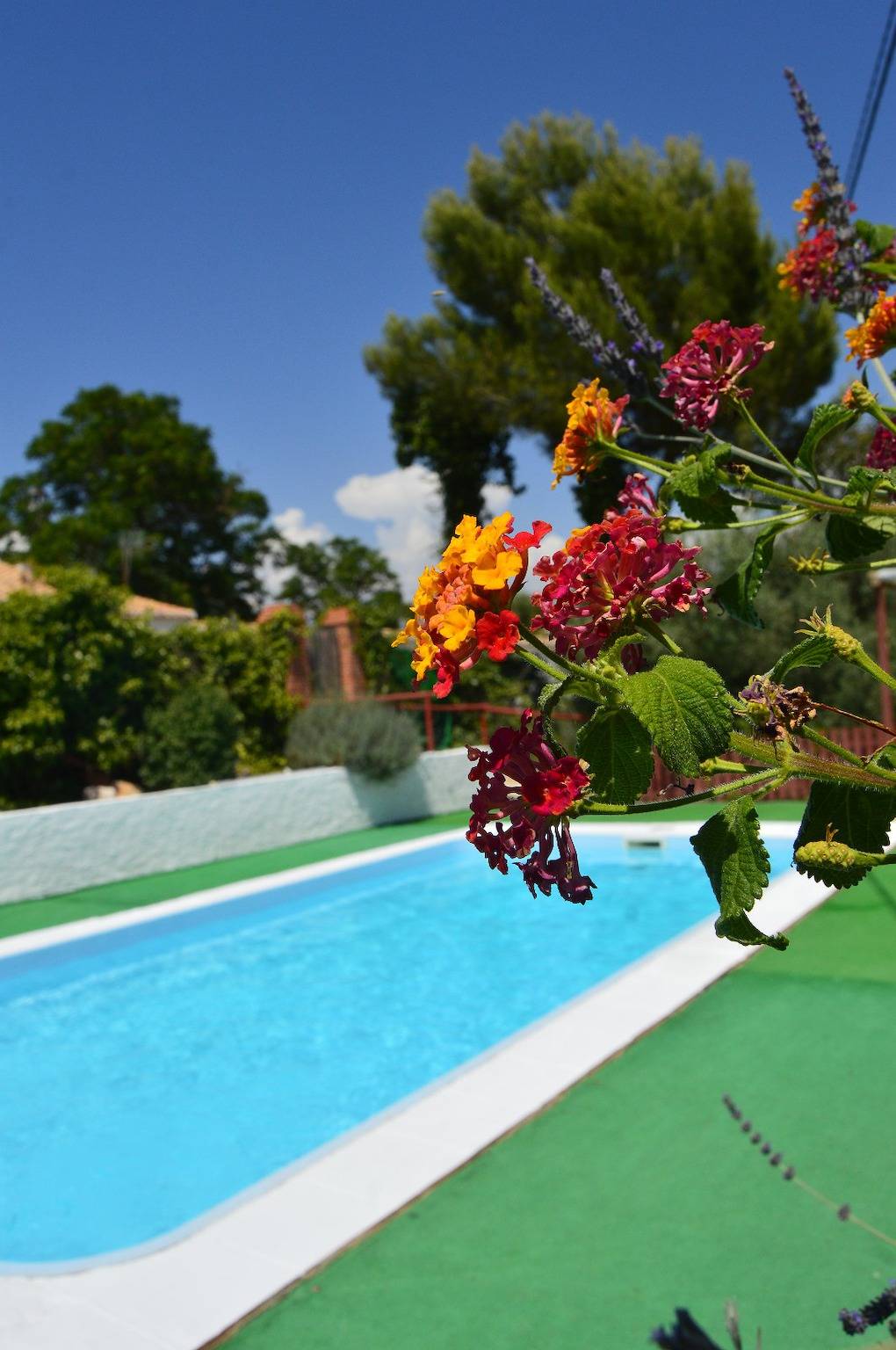 Tïpica Casa Andaluza De Vacaciones Con Piscina Privada Rodeada De Olivares in Fuentes de Cesna, Algarinejo