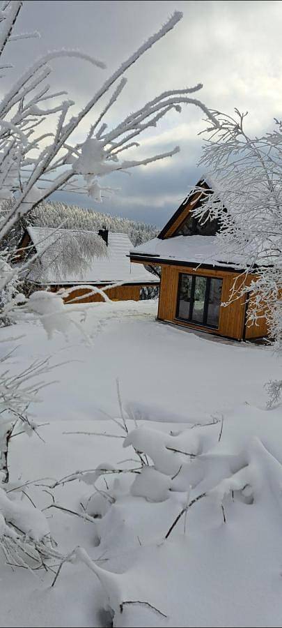Two-Bedroom Chalet in Krynica-Zdrój, Karpaty (Polska)