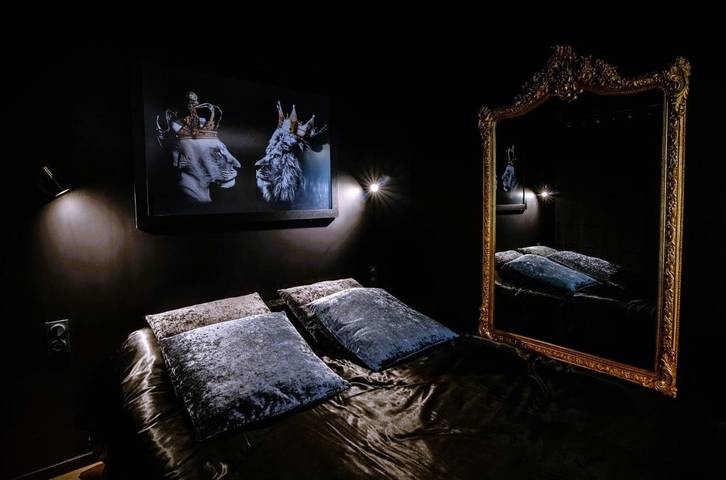Chambre d’hôte pour 2 personnes, avec sauna ainsi que jacuzzi et terrasse à Nantes - 4