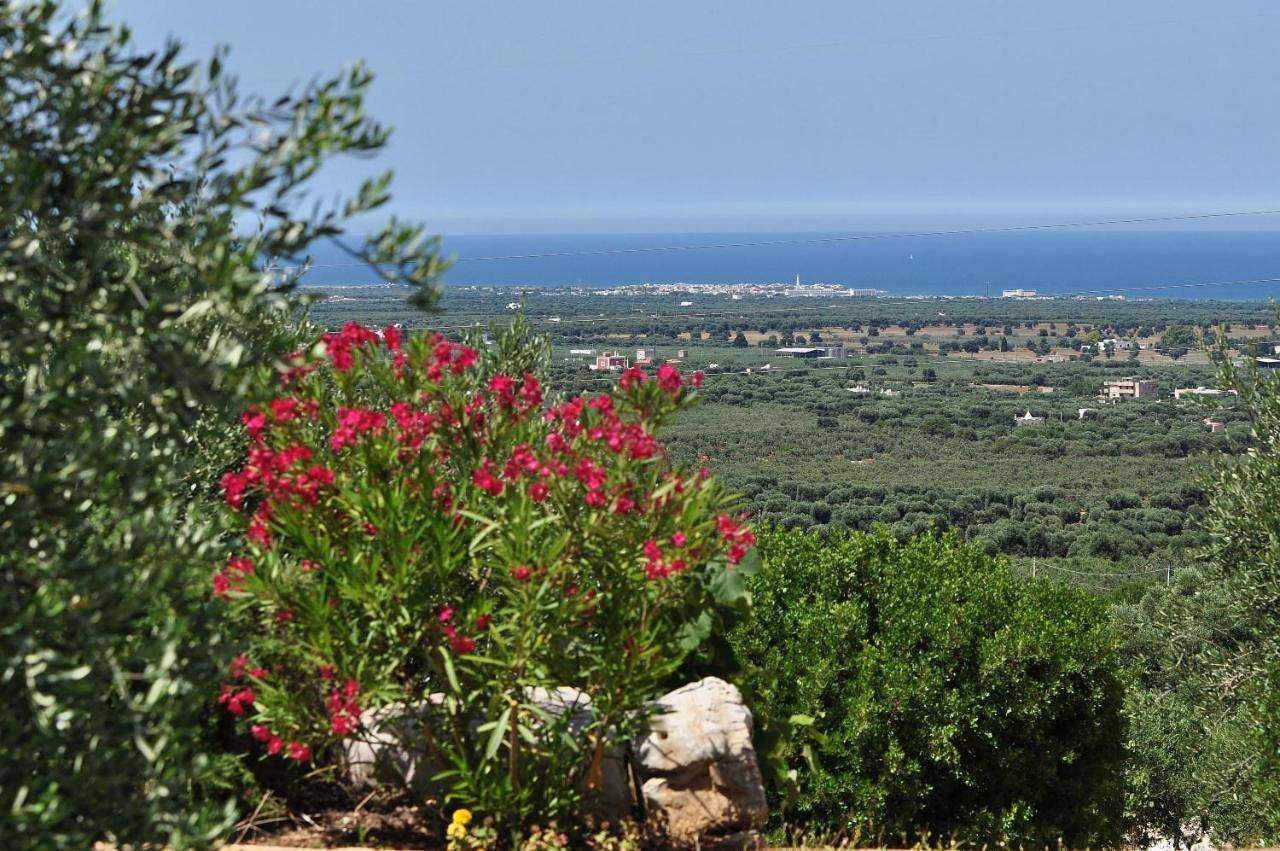 Agriturismo Masseria Spetterrata in Fasano, Salento