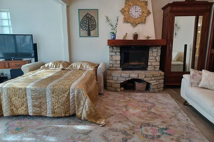 Gîte pour 4 personnes, avec sauna à Bry-sur-Marne - 2