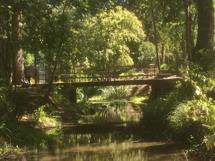Location de vacances pour 4 personnes, avec terrasse et jardin, animaux acceptés à Tauxigny - 3