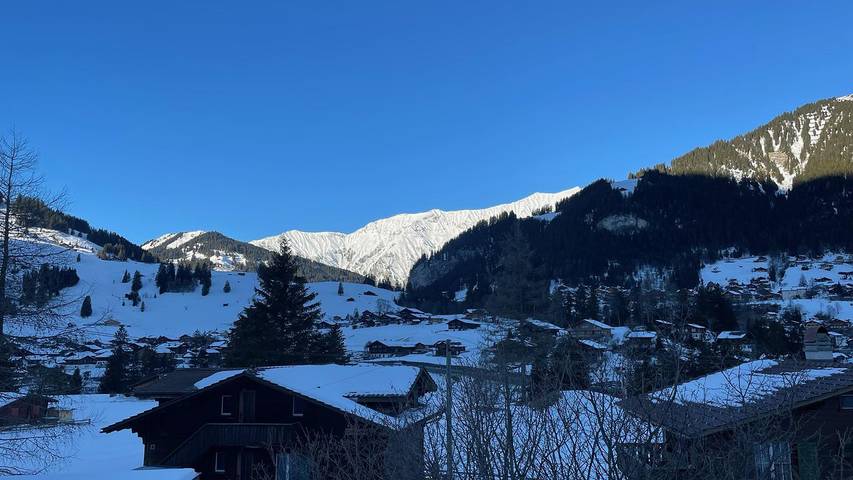 Hütte für 5 Personen, mit Garten in Adelboden