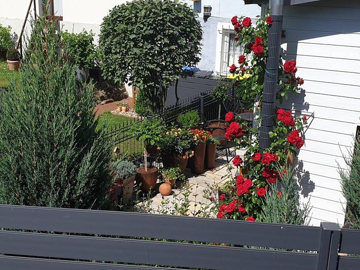 Ferienwohnung für 2 Personen, mit Balkon und Garten in Kreis Lippe - 3