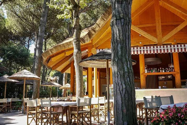 Mobil home pour 4 personnes, avec sauna ainsi que terrasse et piscine, animaux acceptés à Lido di Spina - 4