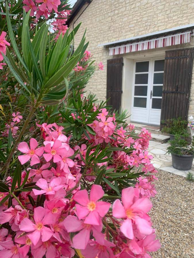 Gîte pour 2 personnes, avec terrasse à Villeneuve-la-Comtesse - 4