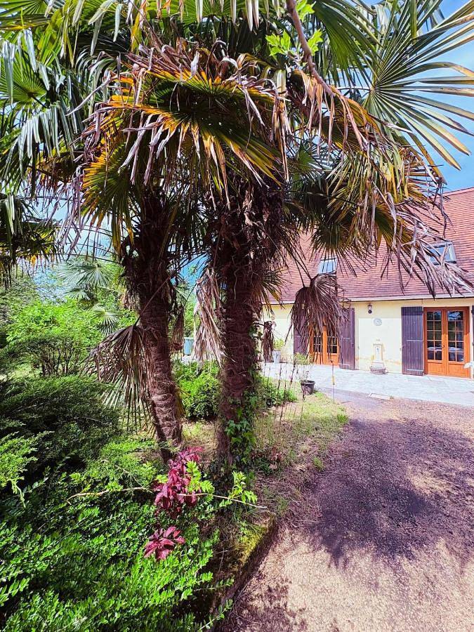 Villa pour 10 personnes, avec Terrasse et Jardin à Sarlat-la-Canéda